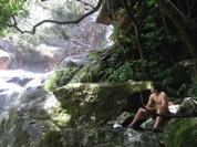 and the pristine rainforest experience