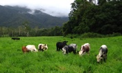 The Lovely Kennedy Valley